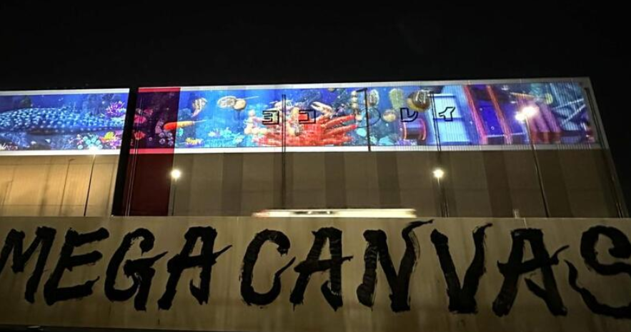 MEGA CANVAS
